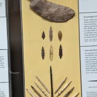 PXL_20230725_101137777