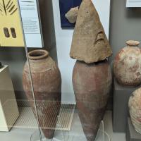 PXL_20230725_101152272