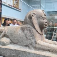 PXL_20230725_101301240.MP