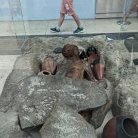 PXL_20230725_101501259.MP