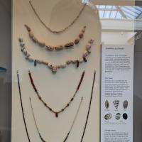 PXL_20230725_101547080