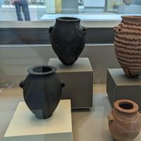 PXL_20230725_101614716.MP