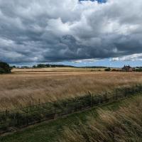 PXL_20230717_145847638