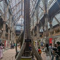 PXL_20230728_140528393