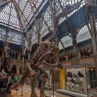 PXL_20230728_140550305