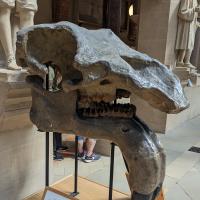 PXL_20230728_140637185