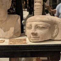 PXL_20230728_141344531.MP