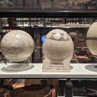 PXL_20230728_141744196