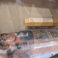 PXL_20230728_142133699