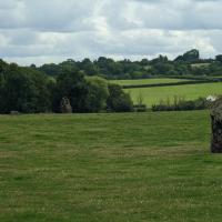 PXL_20230718_102105406