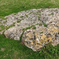 PXL_20230718_104543566