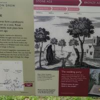 PXL_20230718_112622467.MP