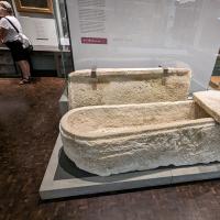 PXL_20230720_100313235