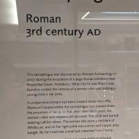 PXL_20230720_100329940