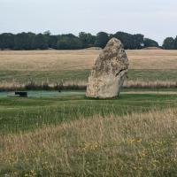 PXL_20230720_185953946