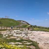 PXL_20230404_112754707