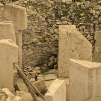 PXL_20230404_113329772