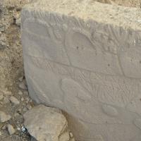 PXL_20230404_113656026