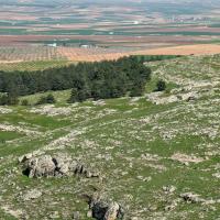 PXL_20230404_120211599