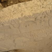 PXL_20230404_122314083