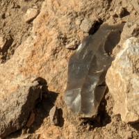 PXL_20230404_122829092