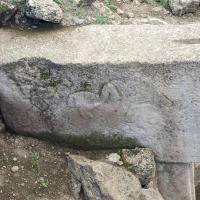 PXL_20230404_124139699