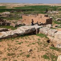 PXL_20230403_080240178