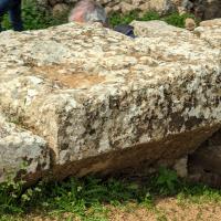 PXL_20230403_080248087