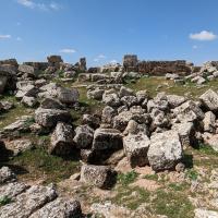 PXL_20230403_083256369