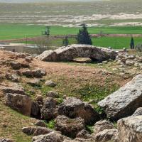 PXL_20230403_083303828