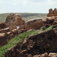 PXL_20230406_082640717