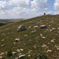 PXL_20230406_083247288