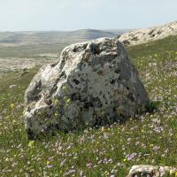 PXL_20230406_083309510