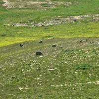 PXL_20230406_083414182