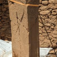 PXL_20230406_084036610