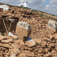 PXL_20230406_084118302