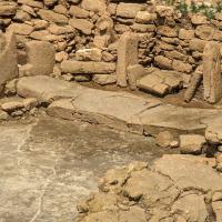 PXL_20230406_084403146