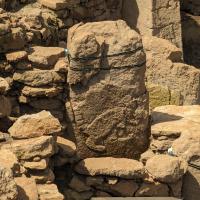 PXL_20230406_084418054