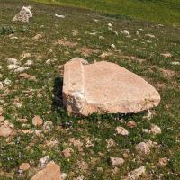 PXL_20230406_084504220