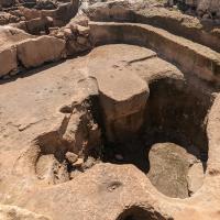 PXL_20230406_085100292