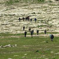 PXL_20230406_103555720