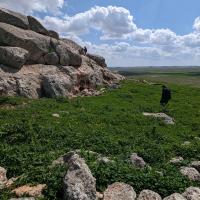 PXL_20230406_104737580