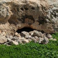 PXL_20230406_104758870