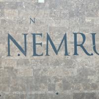 PXL_20230414_103409654