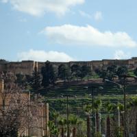 PXL_20230403_122240206