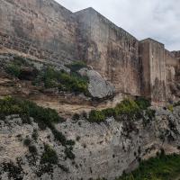 PXL_20230408_105954440