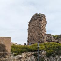 PXL_20230408_110649053