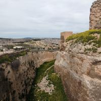 PXL_20230408_110859942