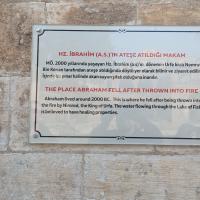 PXL_20230410_113943784.MP