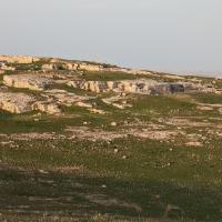 PXL_20230407_151701202